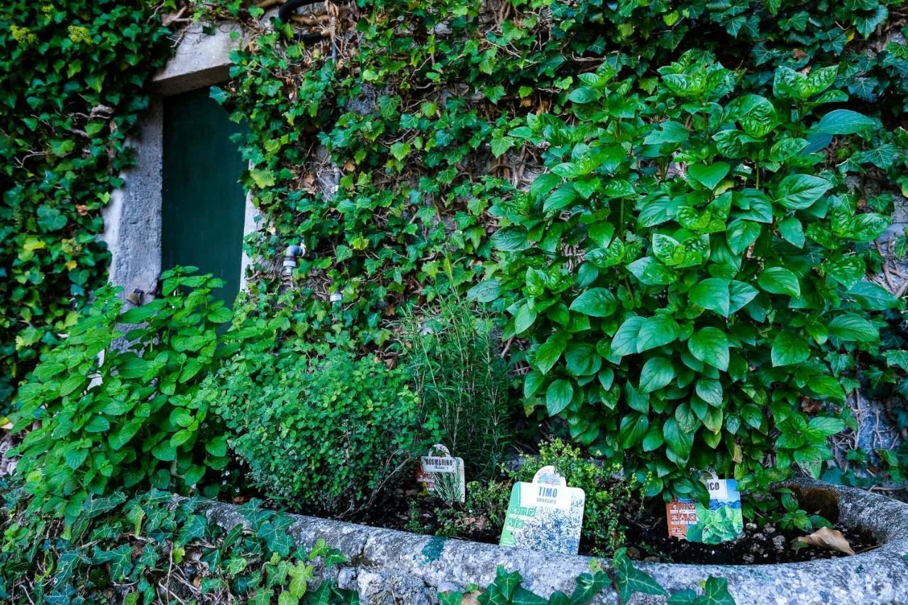 Villa Gina ヴァレンナ エクステリア 写真